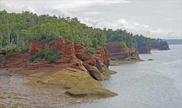 Seashore, wooded cliffs, red sandstone, Five Islands Provincial Park, Fundy Bay, Nova Scotia,