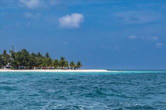 Palm fringed white sand beach, Agatti Island, Lakshadweep archipelago, Union territory of India