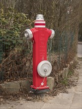 Hydrant, red, water, fire brigade, Lueneburg, Lower Saxony, Germany, Europe