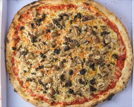 Mushroom truffle pizza with a thin, chewy crust, rich truffle cream sauce, earthy wild mushrooms,