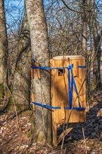 Wooden box as an insect hotel to help rare beetles on a tree in the forest, Sweden, Europe