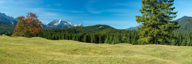 Humpback meadows between Mittenwald and Kruen, Werdenfelser Land, behind it the Zugspitze, 2962m,