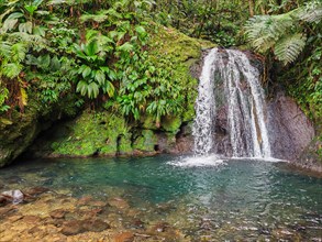 Pure nature, a waterfall with a pool in the forest. The Ecrevisses waterfalls, Cascade aux