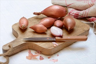Shallots on wooden board with knife, Allium cepa