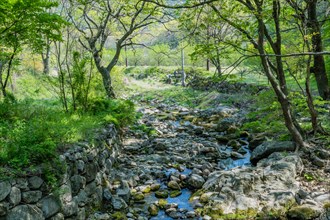 A peaceful stream flows through a lush green landscape dotted with rocks, in South Korea