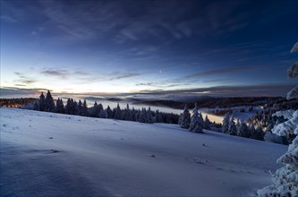 Winter on the Feldberg in front of sunrise, Breisgau-Hochschwarzwald district, Baden-Wuerttemberg,