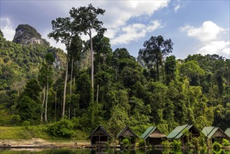 Floating huts of the inhabitants in Khao Sok National Park, forest, jungle, trekking, nature,