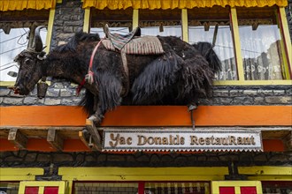Yak donalds restaurant, Kagbeni, Kingdom of Mustang, Nepal, Asia