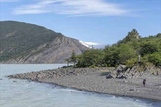 Glacial Lake, Lago Grey, Torres del Paine National Park, Parque Nacional Torres del Paine,