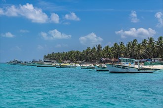 Little boats before a palm fringed white sand beach, Agatti Island, Lakshadweep archipelago, Union