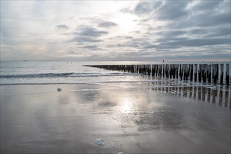 Tranquil seascape with wooden piles on the beach and reflecting water at dusk