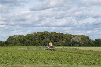 Farmer with tractor working in the field, Lower Rhine, North Rhine-Westphalia, Germany, Europe