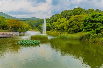 Water fountain in the center of a pond surrounded by lush greenery in a park, in South Korea