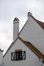Traditional white house with tiled roof and shutters under a cloudy sky, DeHaan, Flanders, Belgium,