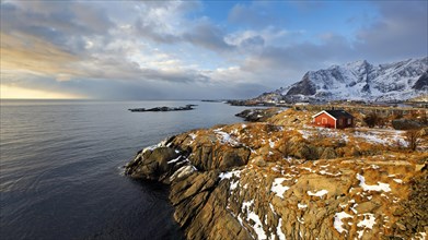 A solitary house overlooks a snow-covered winter coast in Lofoten during sunset, Lofoten