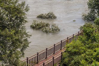Flooded riverbank with submerged trees behind a wooden railing, in South Korea