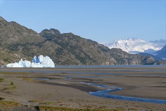 Iceberg on Lago Grey, Torres del Paine National Park, Parque Nacional Torres del Paine, Cordillera
