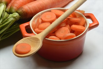 Carrots in slices and on wooden spoons, Daucus carota