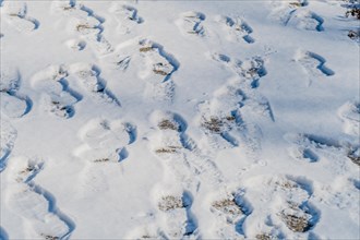 Multiple sets of footprints crisscrossing in the snow, creating an interesting textured pattern, in