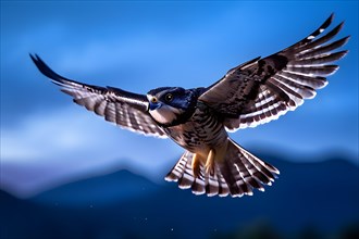 European nightjar caught mid flight wings fully extended, AI generated