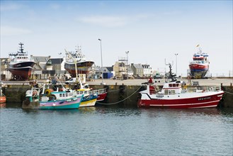 Colourful fishing boats in the harbour, Guilvinec, Finistere, Brittany, France, Europe