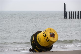 A seal rests on an overturned yellow buoy on a sandy beach