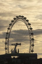 London Eye or Millennium Wheel tourist observation wheel at sunset, City of London, England, United