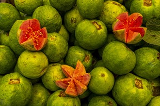 Fresh fruits for sale, Unesco site, Ahmedabad, Gujarat, India, Asia