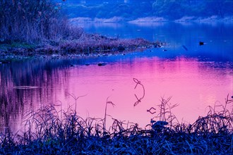 The twilight sky casts pink and purple hues over a tranquil lake, in South Korea