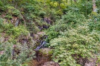 A hidden creek tumbles into a small waterfall amid lush green forest foliage, in South Korea