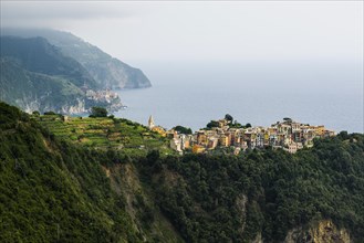Village with colourful houses by the sea, Corniglia, UNESCO World Heritage Site, Cinque Terre,