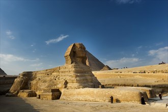 Sphinx of Giza, desert, wonder of the world, building, sculpture, monument, architecture,