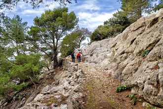 Hikers on a rocky trail lined with green trees under a clear sky, Hiking tour in Taix massiv,
