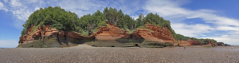 Panorama, wooded cliffs, red sandstone, Five Islands Provincial Park, Fundy Bay, Nova Scotia,