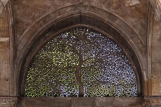 Beautiful ornamented window in the Sidi Saiyyed Mosque, Unesco site, Ahmedabad, Gujarat, India,