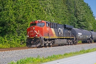 Locomotive and some wagons of the CN Railway, Yellowhead Highway, British Columbia, Canada, North