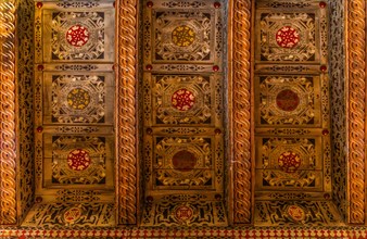 Ceiling decorations, Museo Civico d'Arte, Palzuo Ricchieri, old town centre with magnificent
