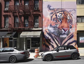 Hand-painted mural with tiger head, in front of a mini convertible, SoHo neighbourhood, Manhattan,