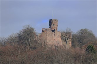 Hohenecken Castle, forest, mountain, Hohenecken, Kaiserslautern, Rhineland-Palatinate, Germany,
