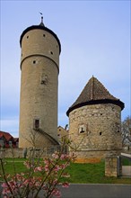 Historic cent defence tower with town wall, fortified tower, town fortification, Ochsenfurt, Lower