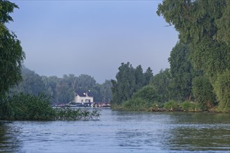 A slightly hazy morning by the water in the UNESCO Danube Delta Biosphere Reserve. Munghiol,