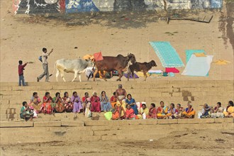 People and animals interact on the steps on a riverbank in a traditional setting, Varanasi, Uttar