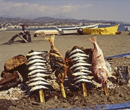 Smoked fish on the beach in Torre del Mar, Costa del Sol, Malaga province, Andalusia, Spain,
