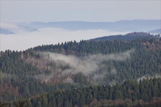 Landscape in the Black Forest with fog, some morning sun and wooded hills near Schuttertal,
