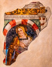 Frescoes, Museo Civico d'Arte, Palzuo Ricchieri, old town centre with magnificent aristocratic
