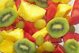 Fresh fruit salad made from various fruits, Venice, Italy, Europe