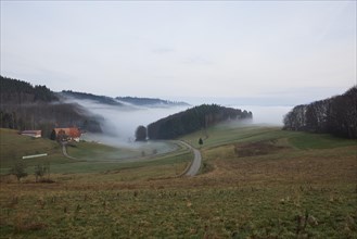 Landscape in the Black Forest with hills, road and forest in the morning with fog near Hofstetten,