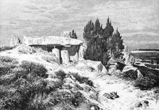 Barrow on the Lueneburg Heath, juniper, boulders, hill, Lower Saxony, Germany, historical