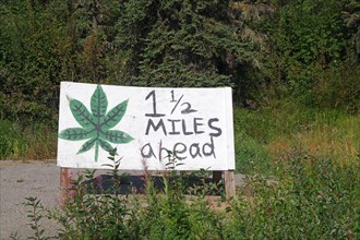 Sign advertising the sale of cannabis, Alaska Highway, Alaska, USA, North America
