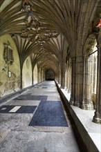 Canterbury Cathedral, The Cathedral of Christ Church, Cloister, Canterbury, Kent, England, Great